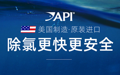 告別魚缸綠水煩惱，魚博士 —— 您的水質守護神