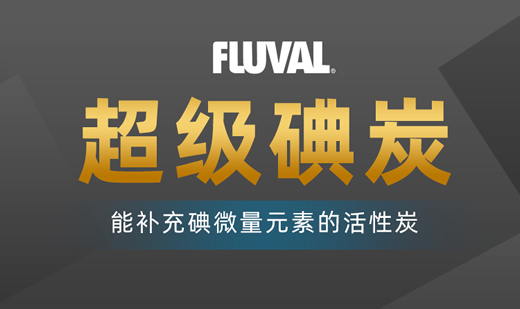 富华碘炭